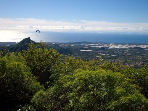 Paragliding Tenerife